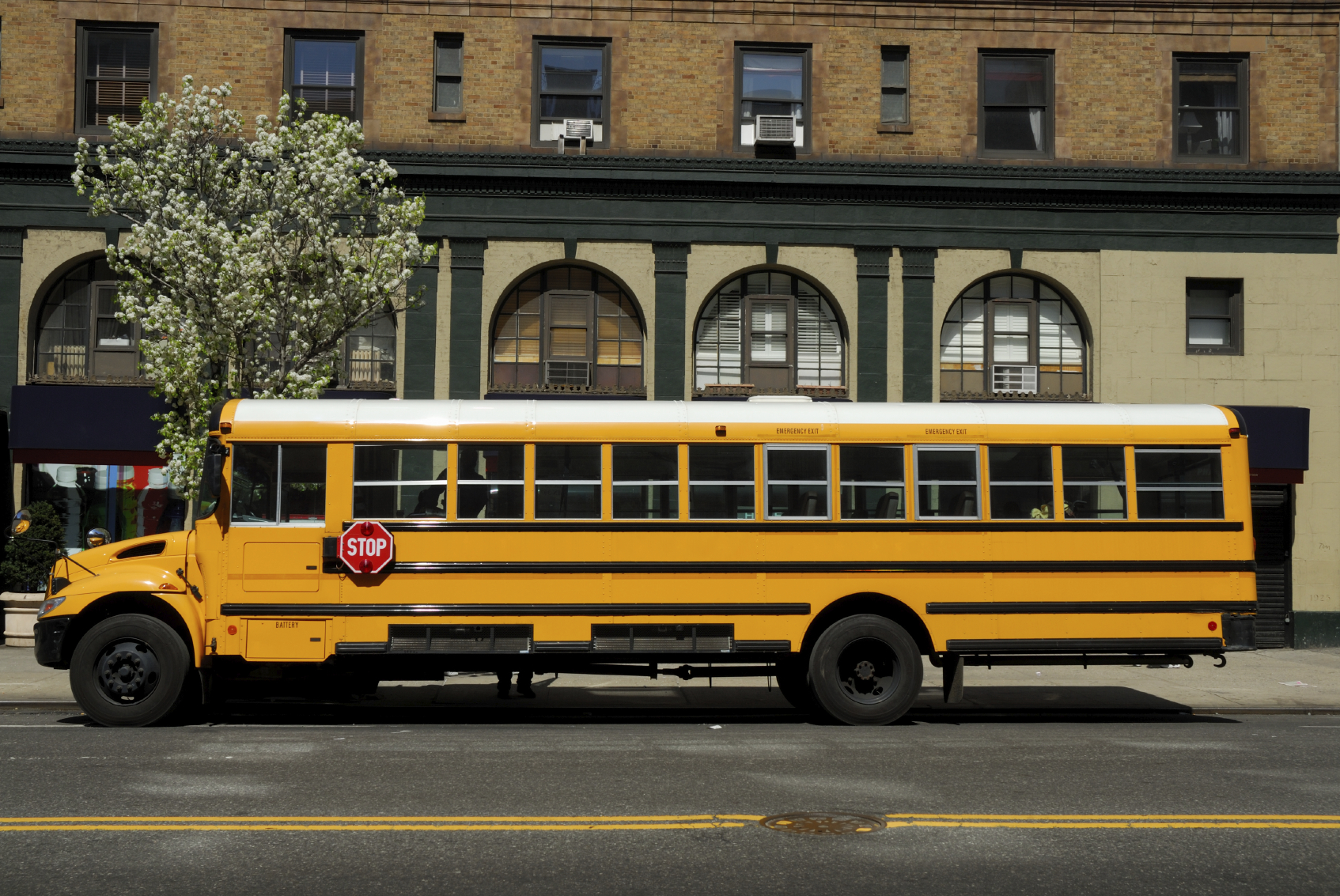 school-bus-rental.jpg