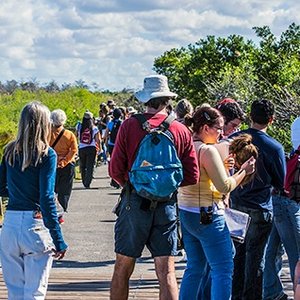 Top 10 Tourist Destinations in the US