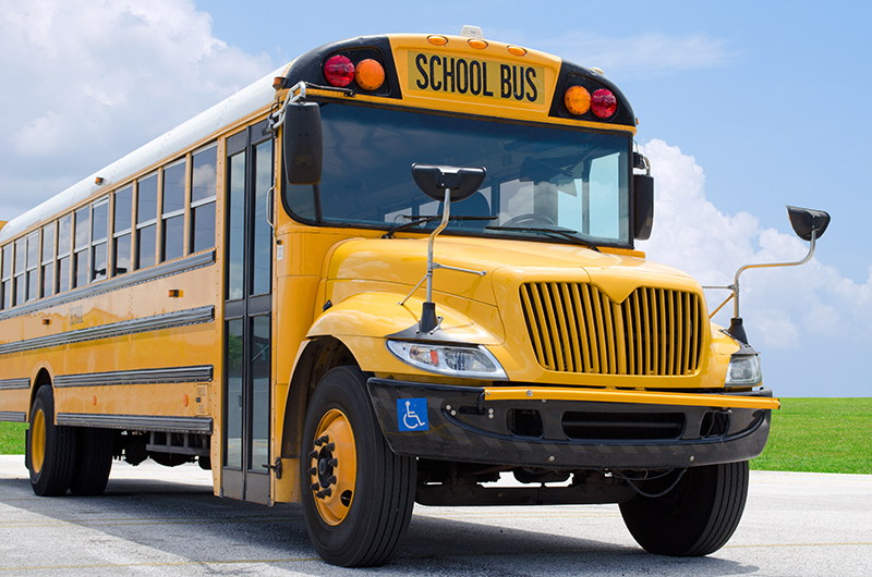 School Bus vs Charter bus