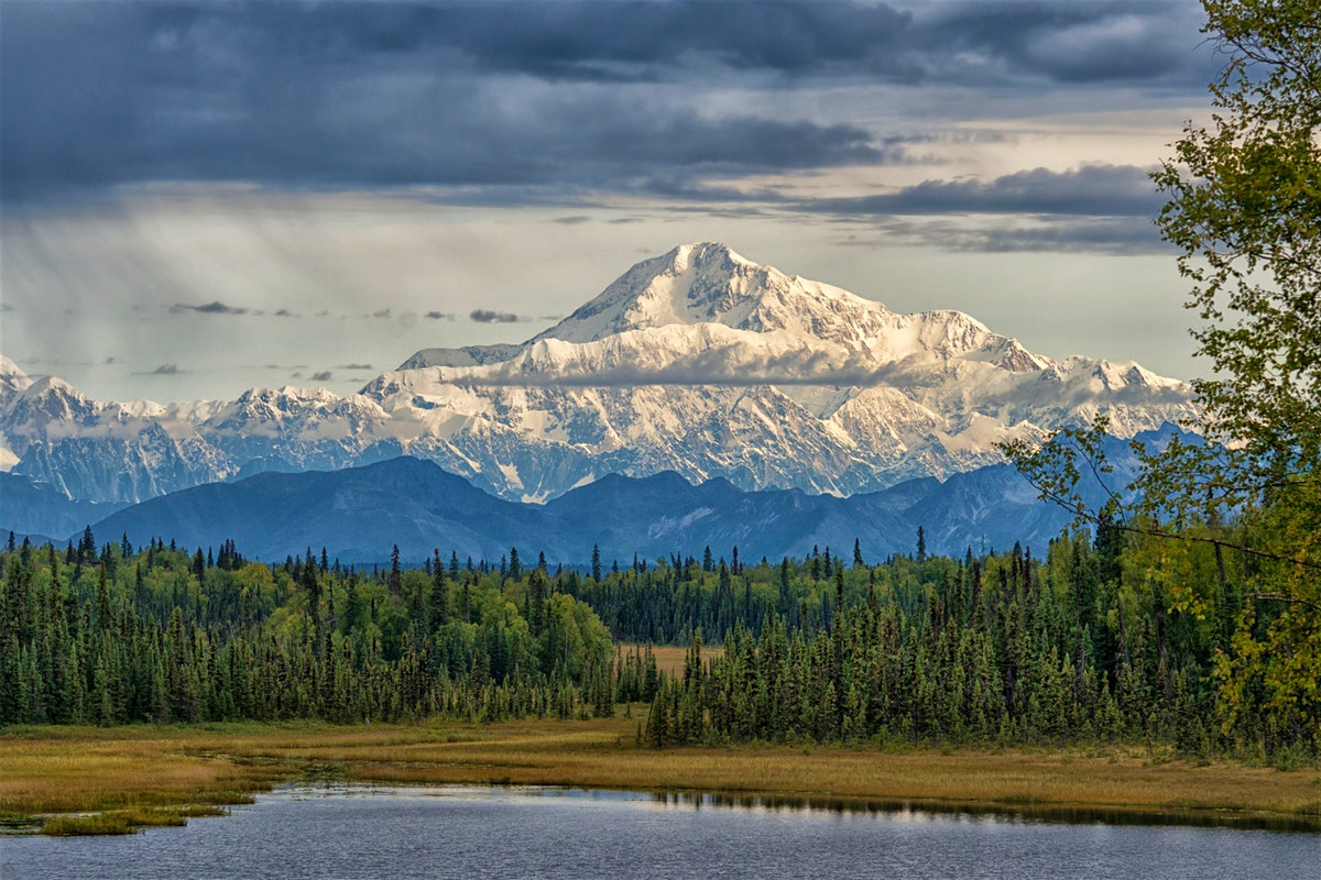denali park.jpg