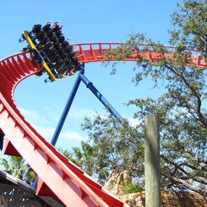 How to Get to Busch Gardens Tampa from Orlando and St. Petersburg 